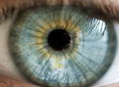 oeil bleu.jpg